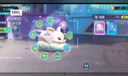 蛋仔兔子爆料视频下载,下载背后的精彩内容